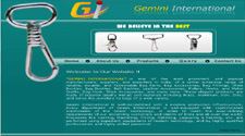 Gemini International